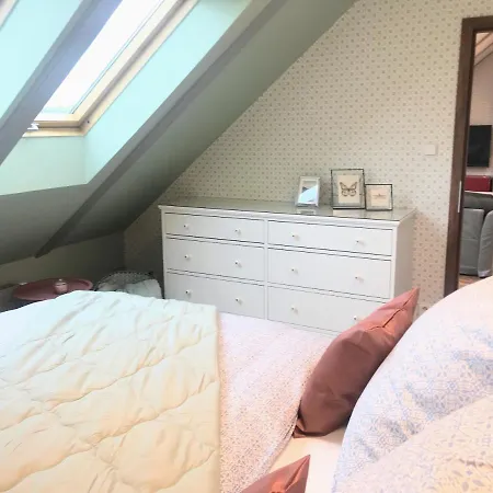 דירה Attic On Waterfront / View / Netflix פראג