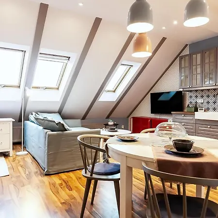 דירה Attic On Waterfront / View / Netflix פראג